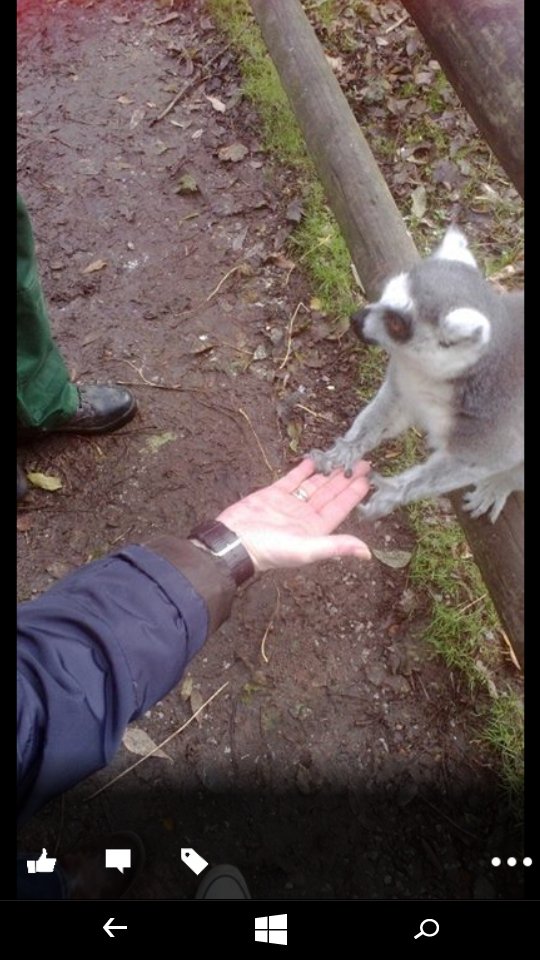 zipidydodaday's tweet image. &quot;@CountryLife100:  #springsnaps Fota