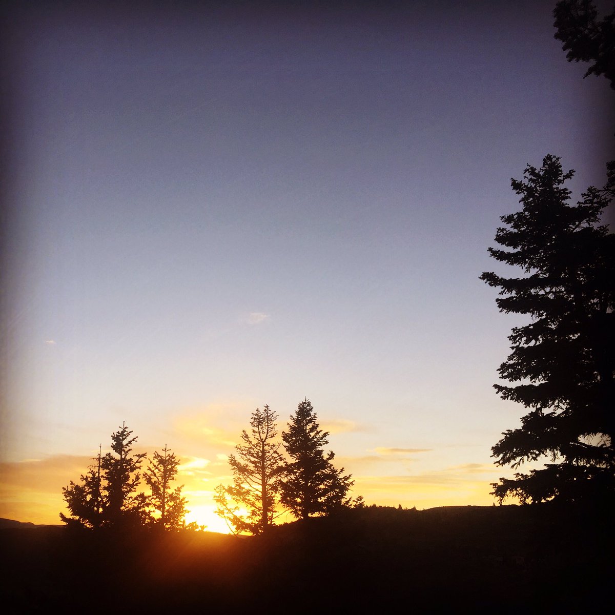 3footedcat's tweet photo. #tbt to #autumn in #ParkCity 10.11.15 #3footedcat #hiking #utah #utahisrad #iphone #photography. @wacthompson3 https://t.co/xvSOhe9YvN