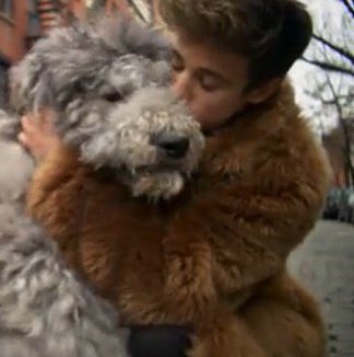 jiminspriority's tweet photo. Me when I see a dog❤️ 

 check out @camerondallas's new vid with Vogue #VogueCam 

https://t.co/4gvzKq5RmK https://t.co/VjprvKKcGS