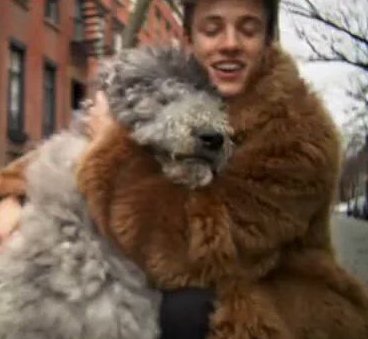 jiminspriority's tweet photo. Me when I see a dog❤️ 

 check out @camerondallas's new vid with Vogue #VogueCam 

https://t.co/4gvzKq5RmK https://t.co/VjprvKKcGS