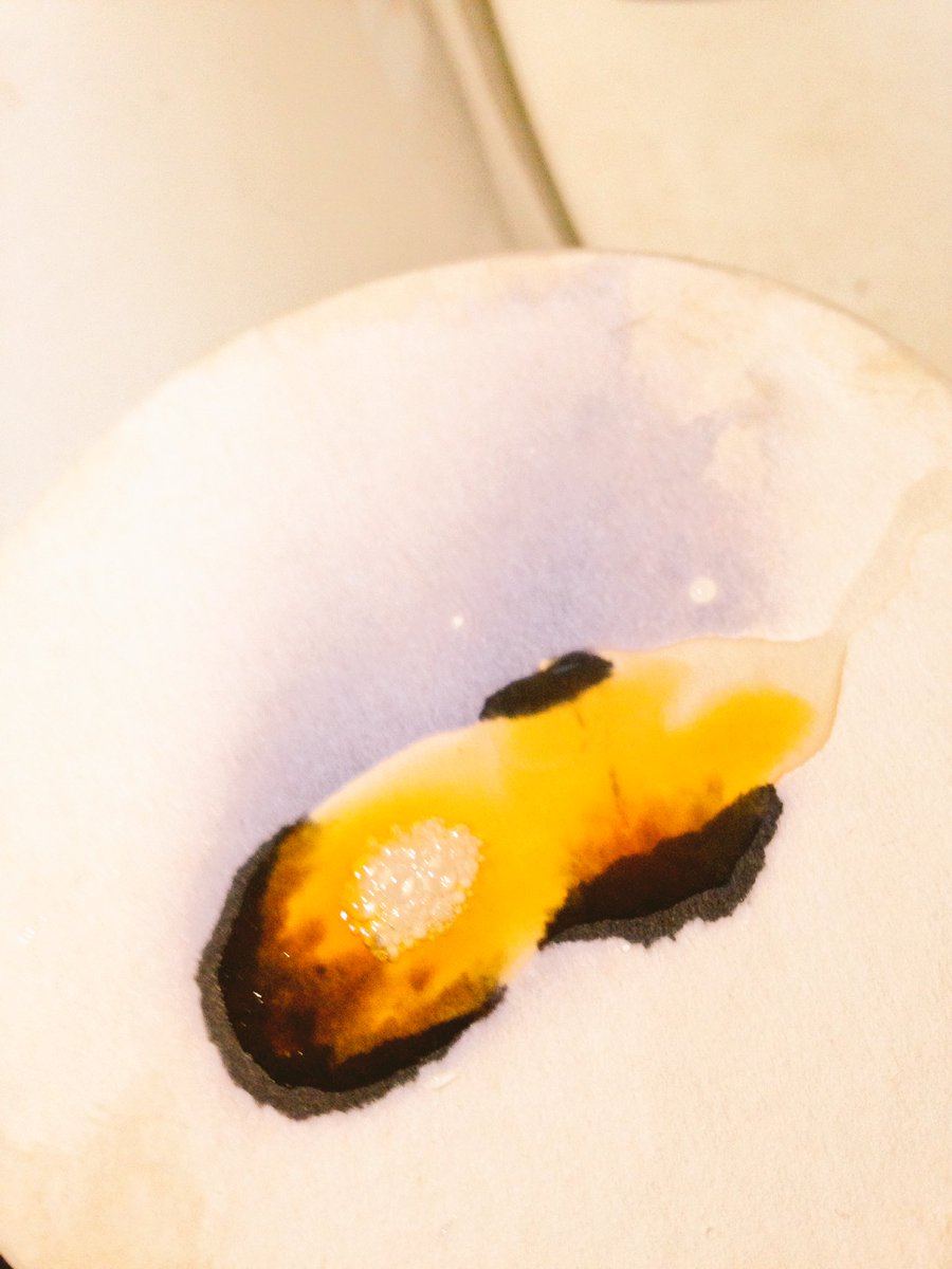 BeerKel's tweet image. Today's fun beer fact. @ForkandBrewer beer coasters contain starch. My Bohemian Hipster wort does not. #iodinetest