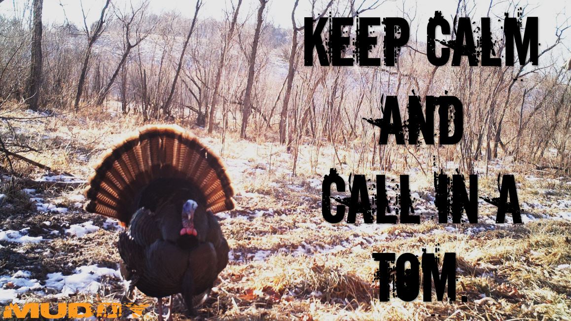 MuddyOutdoors's tweet photo. We're ready for the season! #BringOnTheStrut #GobbleGobble #HuntingIsMyLife #GoMuddy https://t.co/tL8UBeHGBG