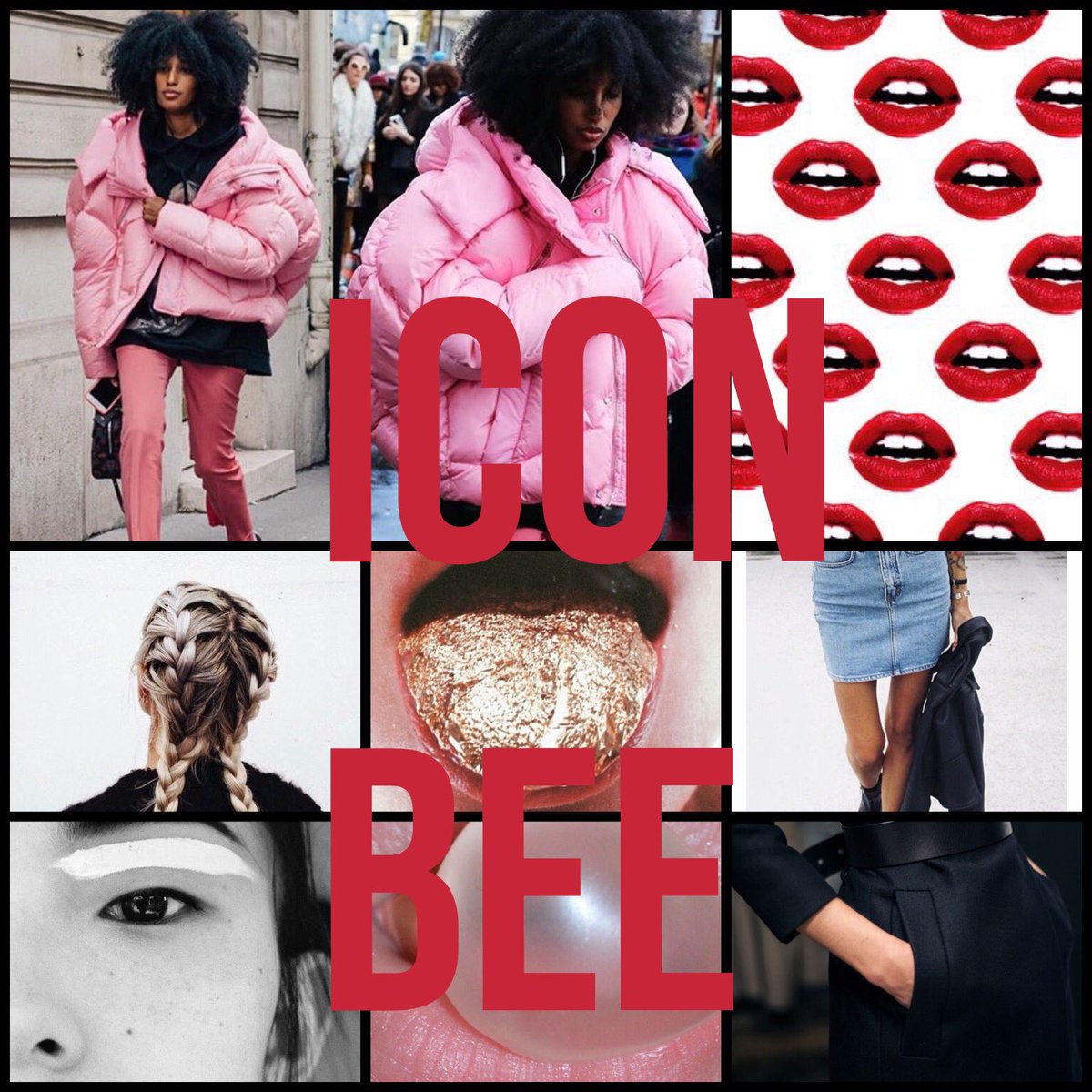 Follow the Bee..🐝🐝🐝