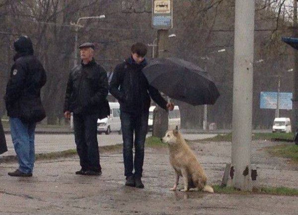 Ce58gCNWsAAoF2F.jpg:large