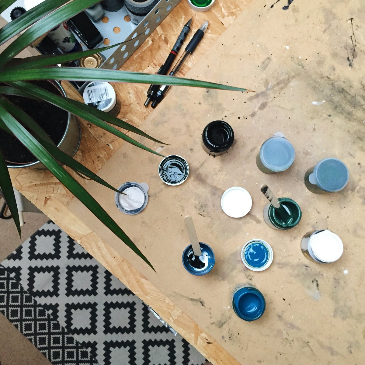 Darwin & Gray tweet media