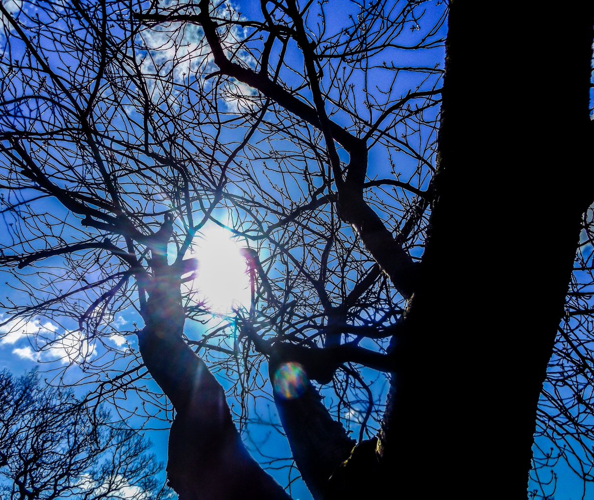 Wayfarer Parbold (@WayfarerParbold) | Twitter