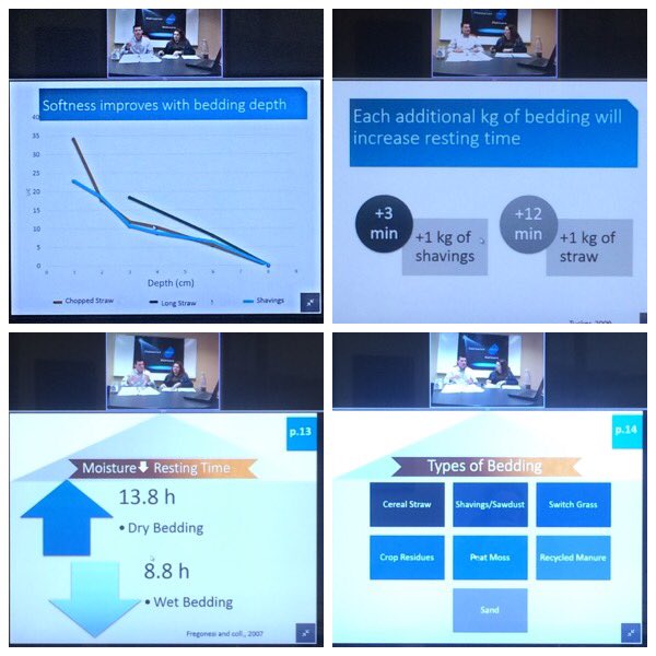 Jeanette_VdL's tweet photo. Lots of great research on bedding and laying time vs standing time #comfortablebarn https://t.co/mk971yekiq