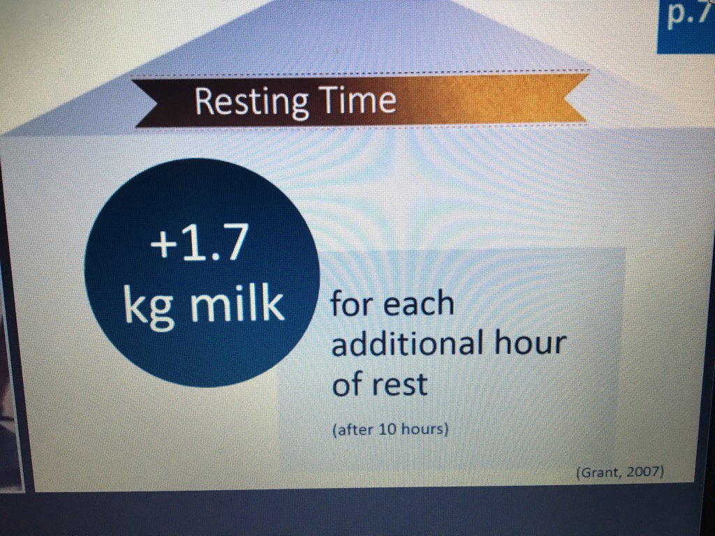 DairySarahB's tweet photo. 1.7kg of milk for each additional hour of rest #comfortablebarn https://t.co/6H4WvRmVQX
