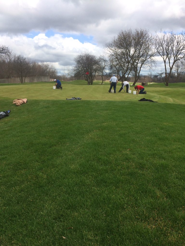 dgroelle's tweet photo. Our annual poa picking party. #keepsitclean https://t.co/IZowWwxbAZ