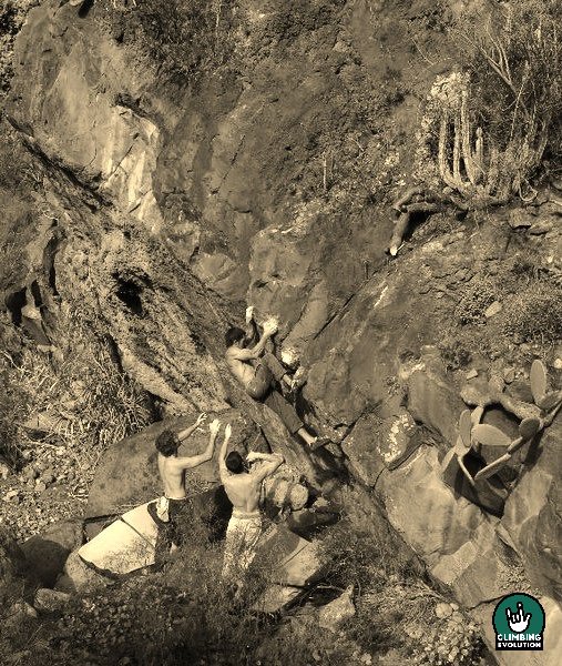 ClimbingEvo's tweet photo. siente tu pasión con @ClimbingEvo! #ClimbingEvolution #HaraSportCenter #activate #YoSoyHara #BeMutant #climbing https://t.co/YuvAUUuU0N
