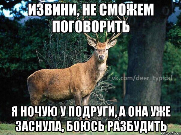Kllubnika's tweet photo. 😂😂😂😂🔫🔫🔫🔫 https://t.co/j1BVjIpMqp