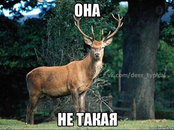 Kllubnika's tweet photo. 😂😂😂😂🔫🔫🔫🔫 https://t.co/j1BVjIpMqp