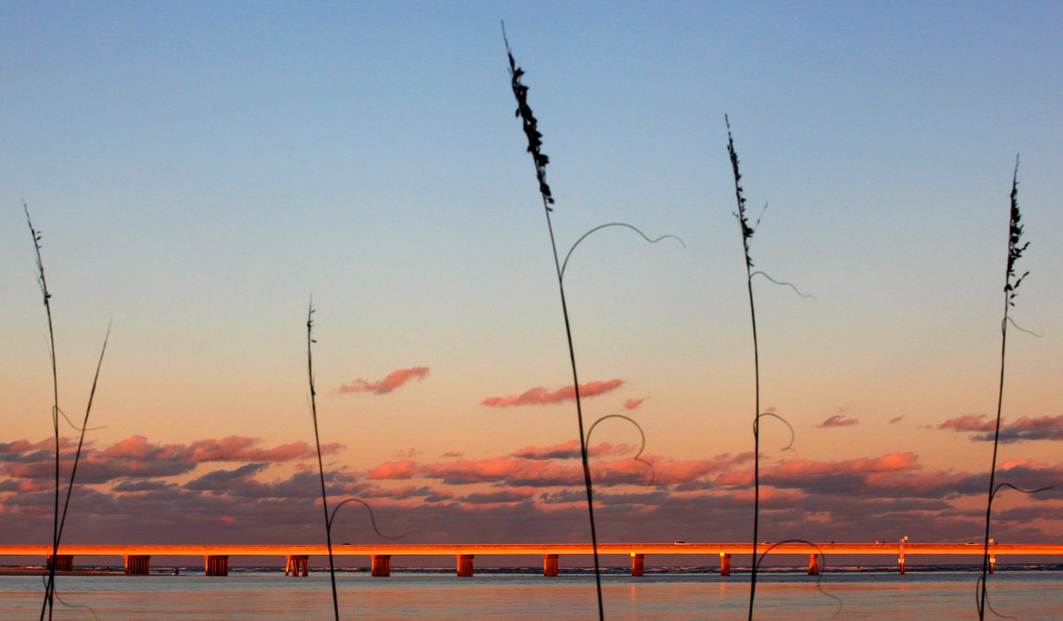 The A1A Scenic &amp; Historic Coastal Byway. Thanks, <a href="/photodaron/">Daron Dean</a> ​ #LoveFL #FloridaScenicHighway