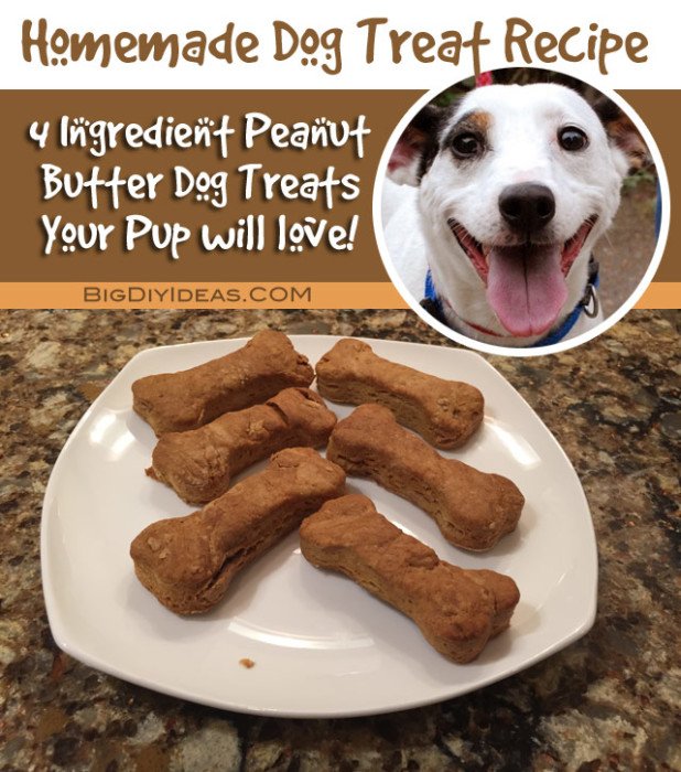 DesignerCEFDF's tweet image. Homemade Peanut Butter Dog Treats bigdiyideas.com/easy-recipe-fo… #crestview  #doglover #homemade #treat