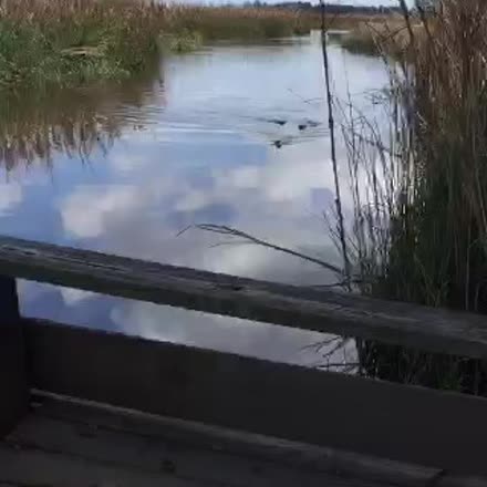 Callie Beale Harper tweet media