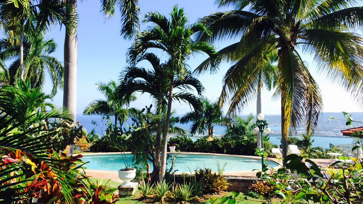 meeravpatel5's tweet image. #missingthisview