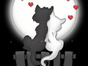 laya_pretty tweet picture