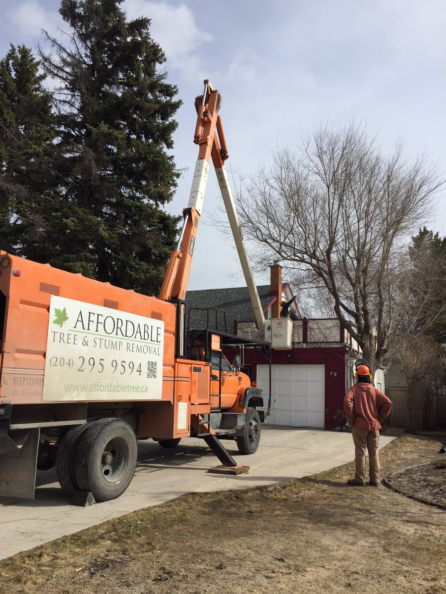 ErinPropp's tweet image. Best afternoon entertainment! #chainsaw #crane #affordabletreeandstumpremoval #arborist #cousin #localbusiness