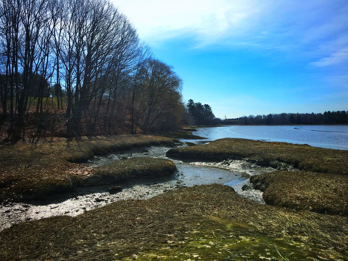 MEParkRanger's tweet photo. Fore River Sanctuary this morning!
#perfectday #spring #portlandme #parkranger #maine #nature #takeahike https://t.co/KtNDqNNQMm