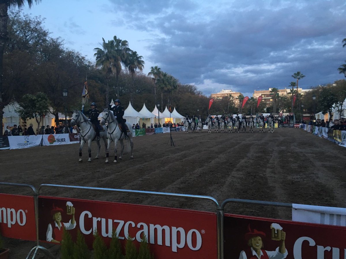 C_SERVA2017's tweet photo. Exhibición del Escuadrón de Caballería de la Policía Nacional 

#SERVA2016 #Caballos #PRE https://t.co/sBSgxAcYSx