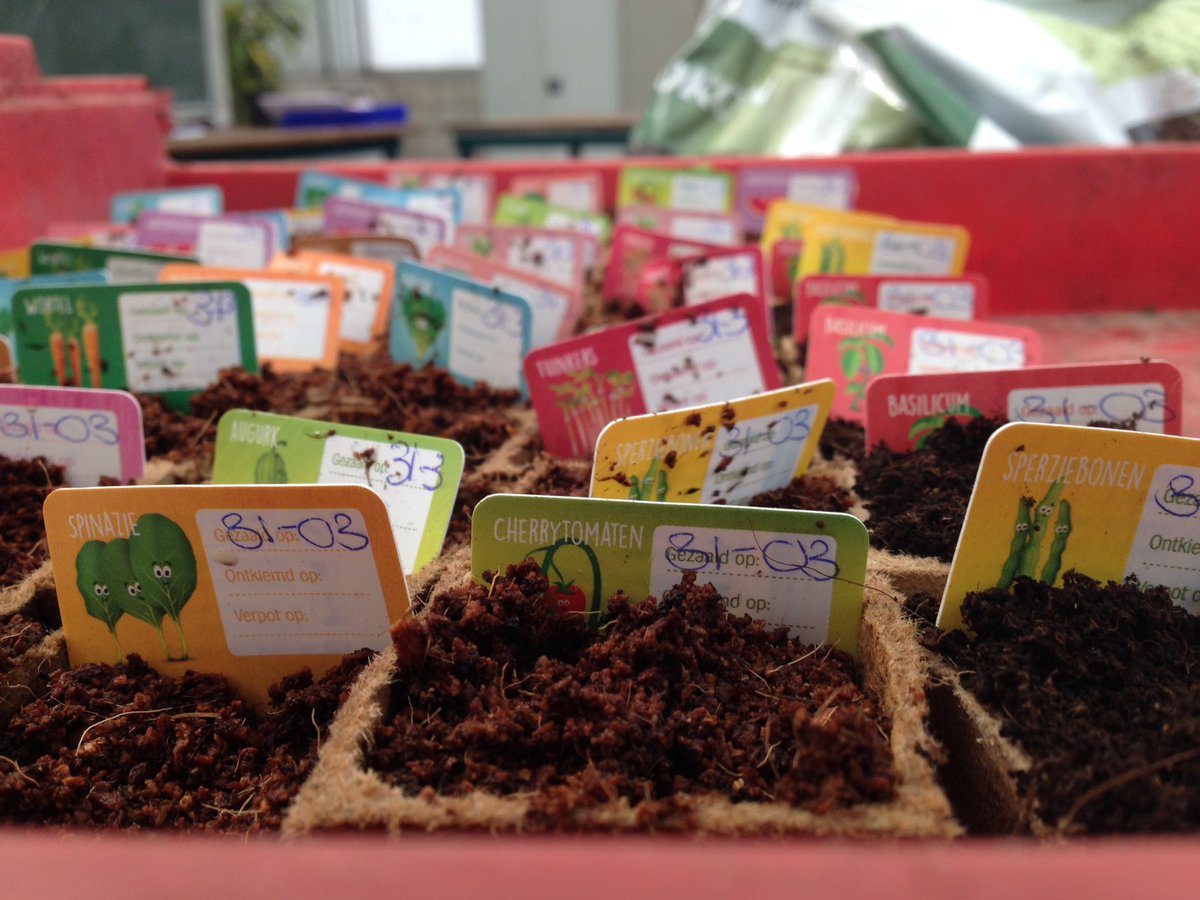 GCMaartensdijk's tweet photo. #ah Moestuinpotjes: leuk in de les groenvoorziening! Supergemotiveerd! #aeres #groenhorst Maartensdijk https://t.co/Hsbw9D0Jlt