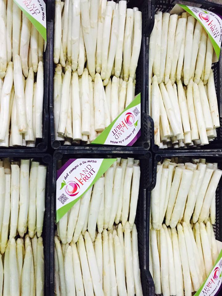 land_fruit's tweet photo. Esparragos LandFruit ¡Todo un lujo para el paladar! https://t.co/ckICoQrJ5a