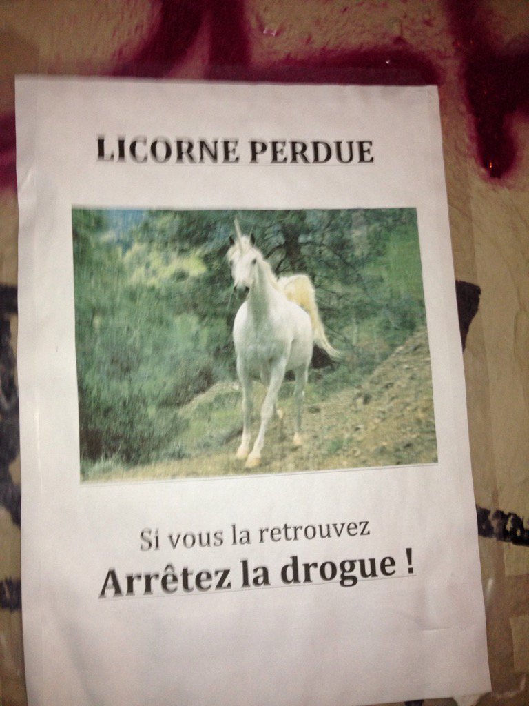 Dom Muet tweet media