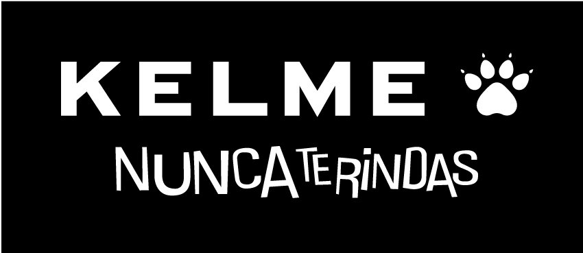 distritopadel's tweet photo. Kelme, Mejora tu volea de derecha 
 https://t.co/g0pVTKC9WN
 Kelme Pádel #padel https://t.co/D4RSkAO2ei