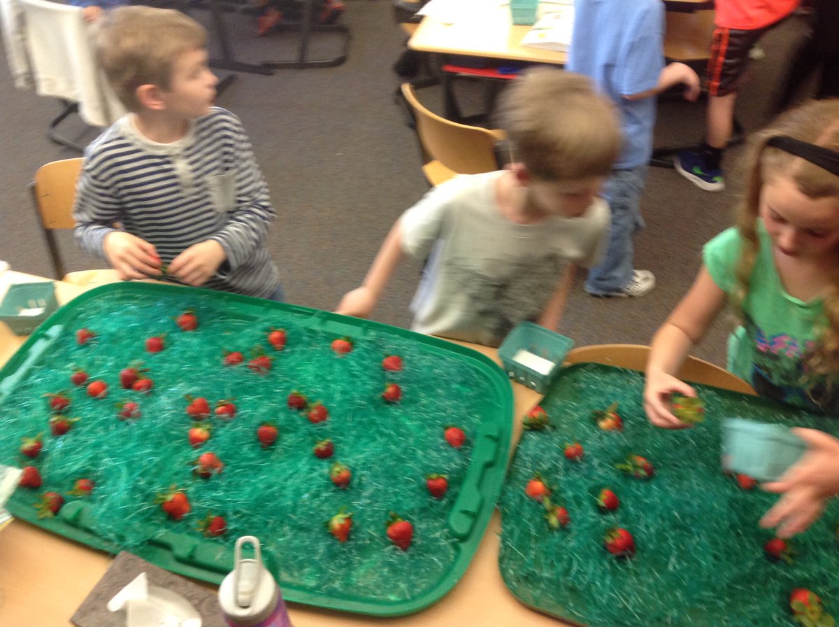 MissGerding's tweet photo. Our strawberry themed Spring Party was awesome!! https://t.co/asyrNDmNX8