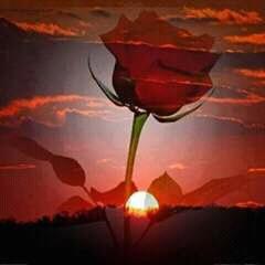salas4219's tweet photo. @Adela_Micha  eres una dama muy linda e inteligente y es de admirarse https://t.co/41eF6UoK6U