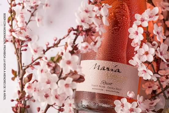 BODEGA SEPTIMA tweet media