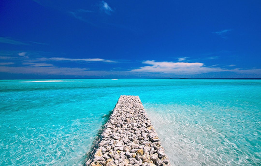 Adventurefull_'s tweet image. Which one would you travel first ?🌲🌊🗻🌕