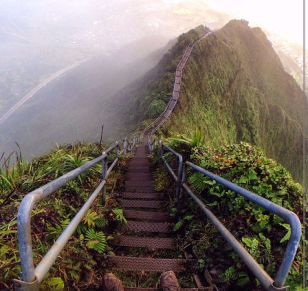 Adventurefull_'s tweet image. Which one would you travel first ?🌲🌊🗻🌕