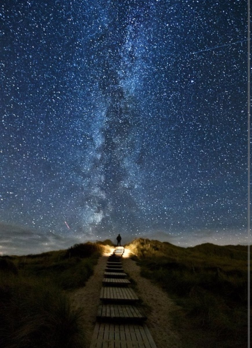 Adventurefull_'s tweet image. Which one would you travel first ?🌲🌊🗻🌕