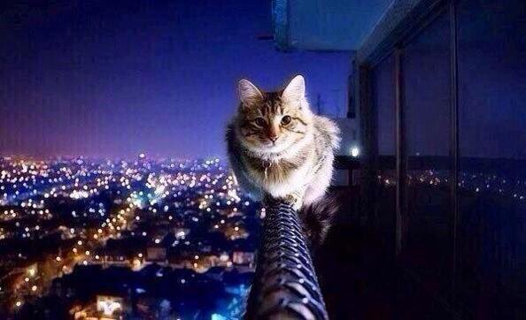 PardueSuzanne's tweet photo. Life is a balance of holding
on and letting go...
- Rumi https://t.co/6XXm1MxI4V