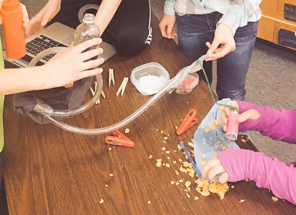 Leslie6th's tweet image. Messy learning! #handsonscience #sciencemodels