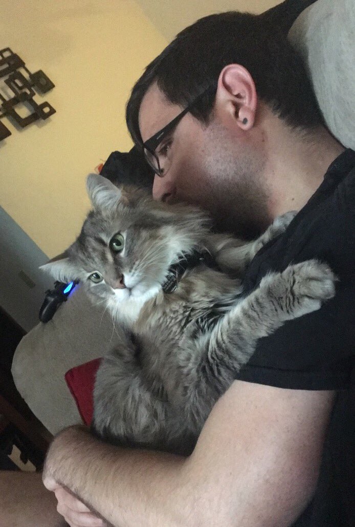 ADHDahlia's tweet photo. The cat loves him and he pretends he doesn't like the cat 😹 #fluffcat https://t.co/lzgrSbtnFy