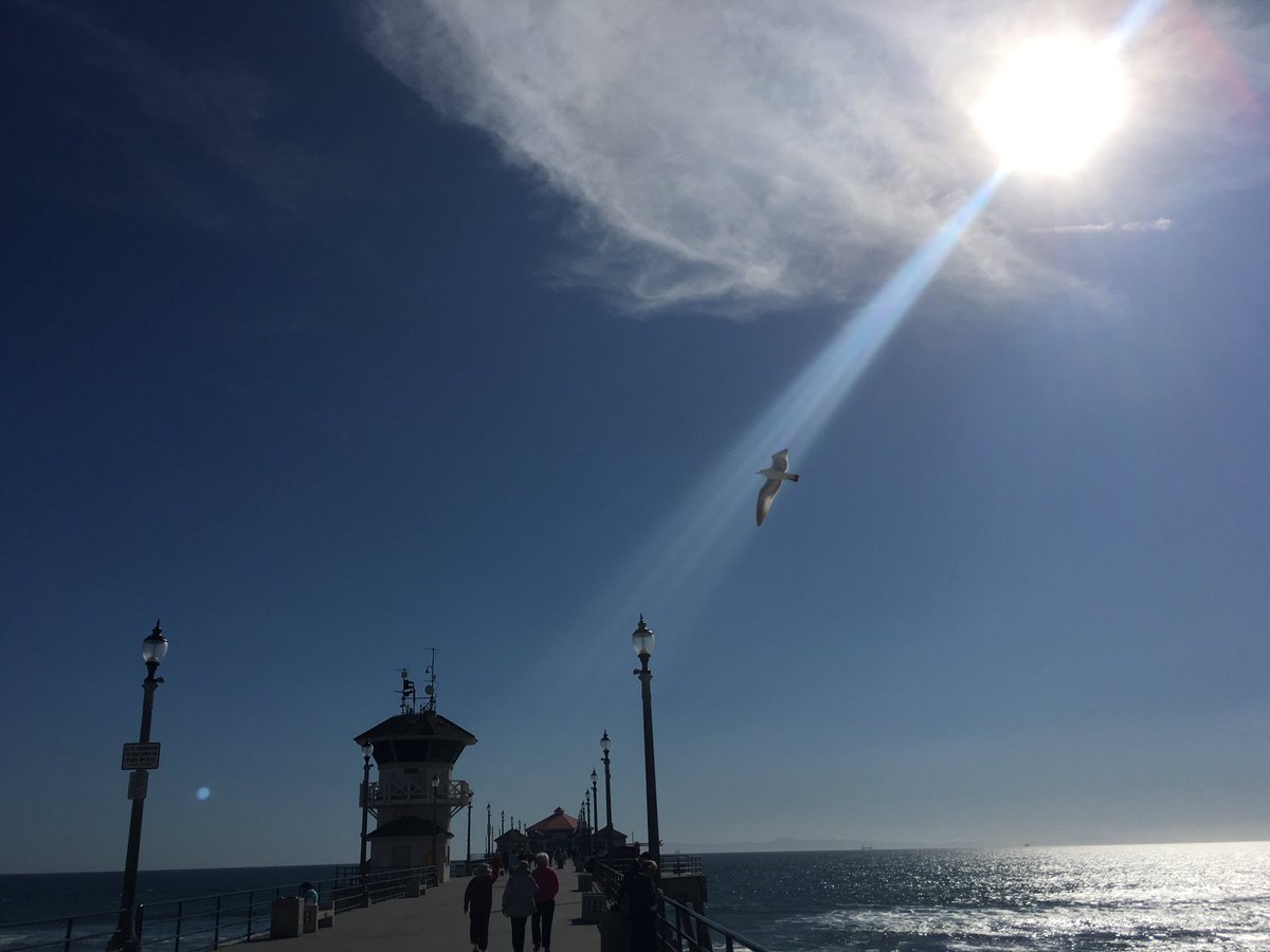 Andy2Dylan's tweet image. An epic photo by me!!📸😆✌️