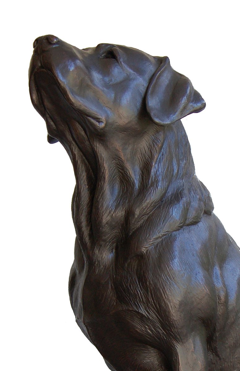newmansculpture's tweet photo. A Lab For All Seasons - two sizes
#lablover
#huntinglab
#Sculpture
# https://t.co/Q3JnxL76iF