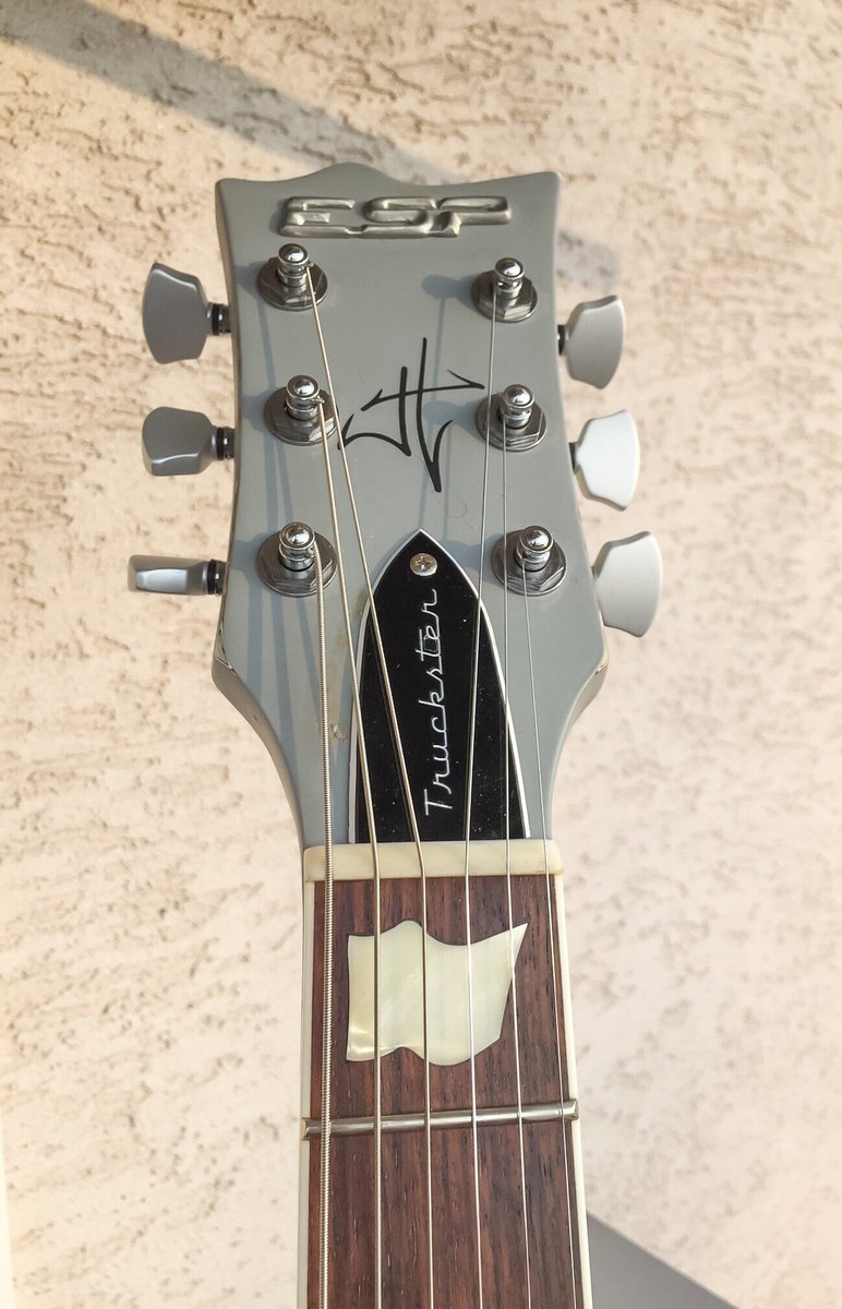 FIXXXER_BA's tweet photo. Just a sunrise pics of one of my instruments. #espguitars #truckster #emgpickups #hetset #GuitarHeaven #guitar https://t.co/wMwRa8RHUu