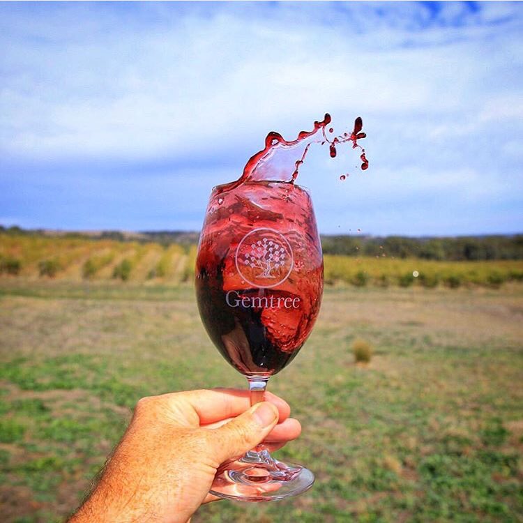 #redwine #swirl 🍷👌🏻👏🏻 at <a href="/GemtreeWines/">Gemtree</a> #cellardoor 📷 <a href="/SwannySA/">Lachlan Swan</a> #OnceUponAWine #vino #vinho #wein #vin #winelover 🍷🍾