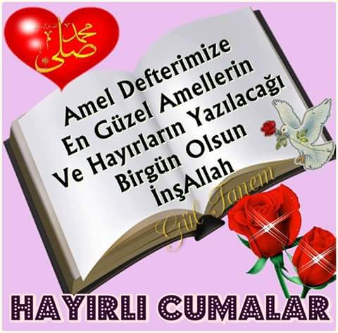 timursami's tweet photo. #profdo https://t.co/fCYbUlOFK2