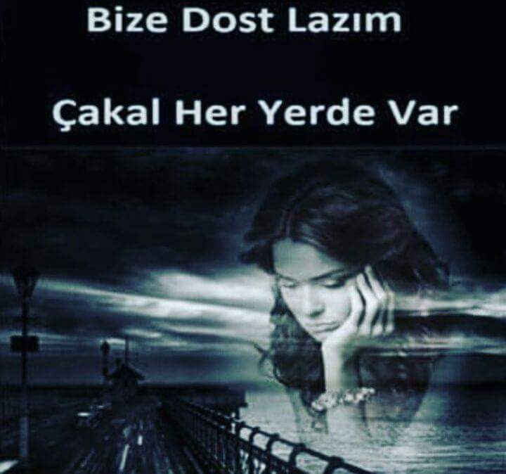 sevda (@bmgmari) on Twitter photo 