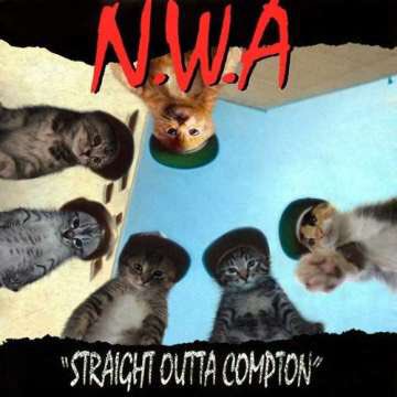 Fargone1's tweet photo. @mcrencpt
#nwa #StraightOuttaCompton #comptom #cat #cats https://t.co/VwMdpCVVqP