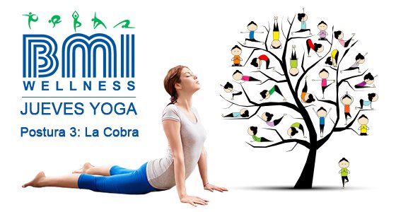 BMIWELLNESS.COM tweet media
