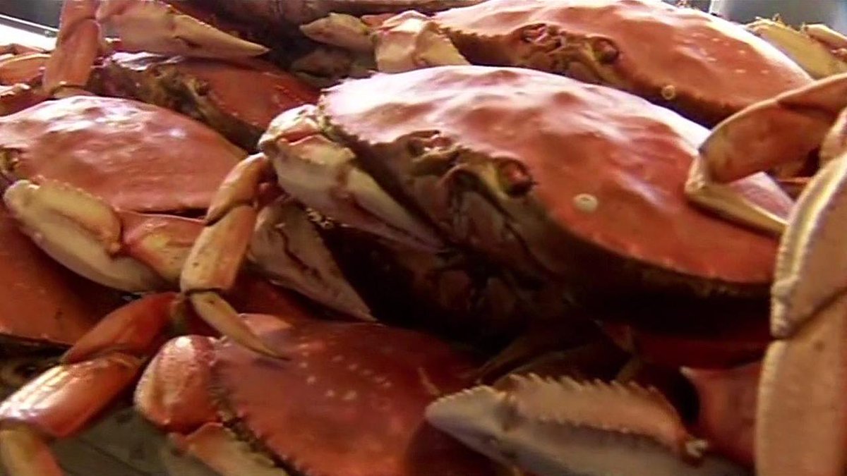 TheOlanderCo's tweet photo. Determining the price of #quality with local crab: https://t.co/Zix562Sq1y via @abc7newsBayArea #OlanderCoreValues https://t.co/CwgIeDfnwH