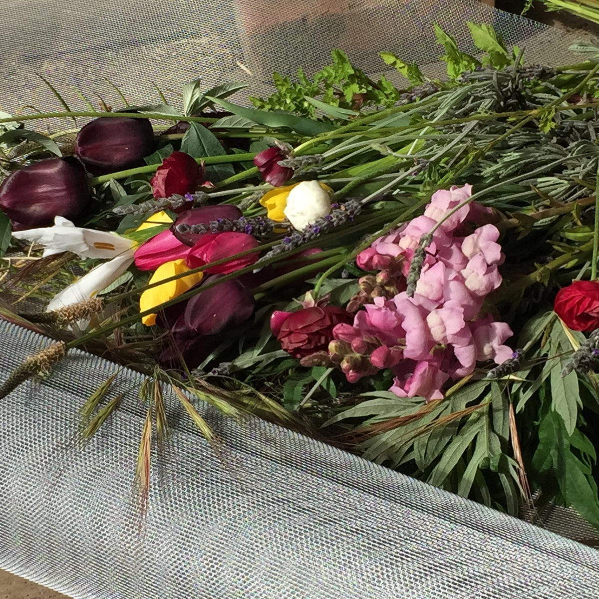 $40 bouquets of Snapdragons, Ranunculus, Black Tulips, Mugwort, &amp; Wild Oats harvested fresh! Email us for yours