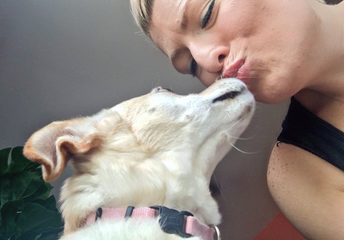 ELeeDey's tweet photo. Oh these 2 πΎβ€οΈπΎβ€οΈπΎ #pups4ever https://t.co/nccGO6ZikP