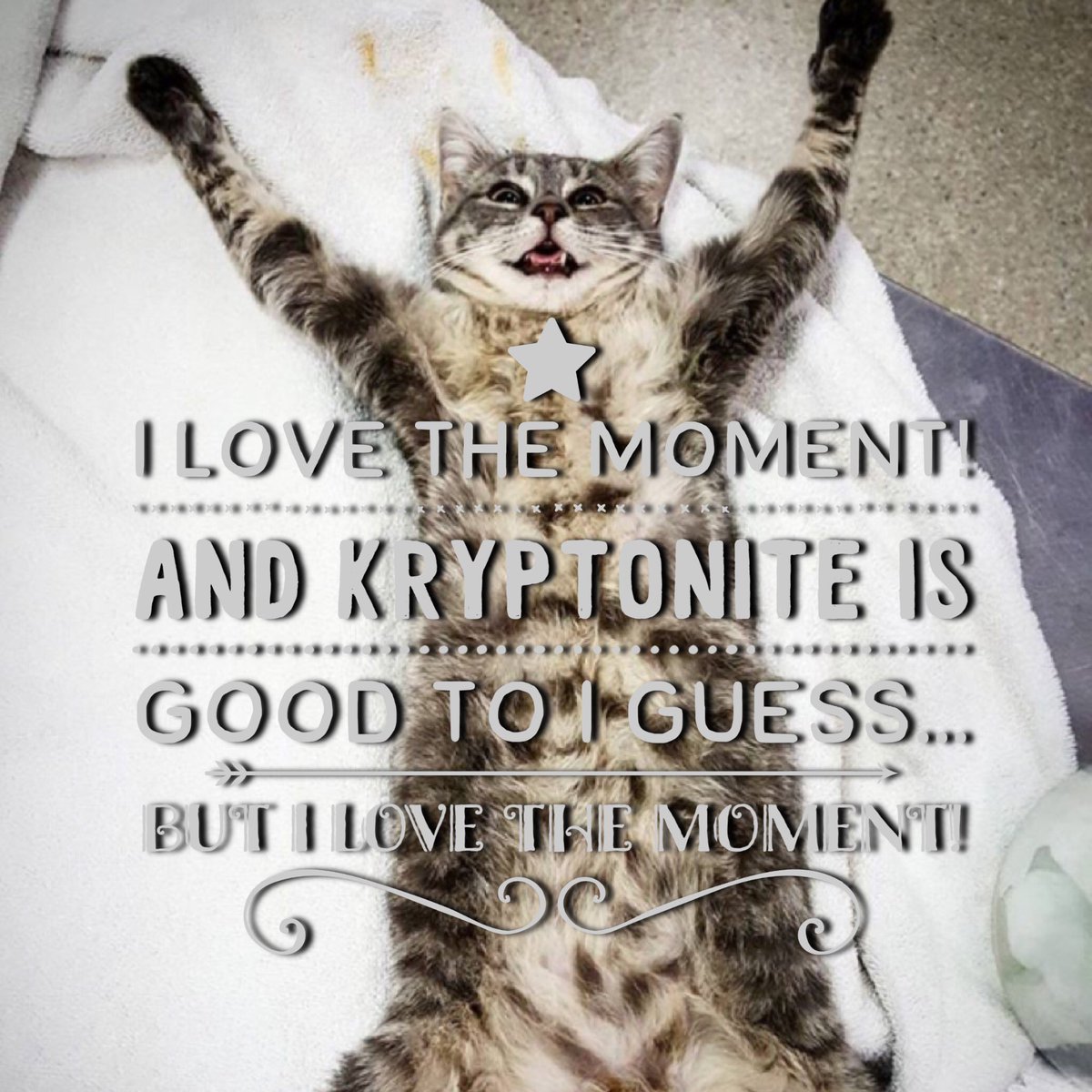 KryptoniteBar's tweet photo. Rumor has it! #TheMoment band return to #KryptoniteBar April 23. @Chris2nite @pjheckinger #catAdded #gorockford https://t.co/D6U0yb3W5s