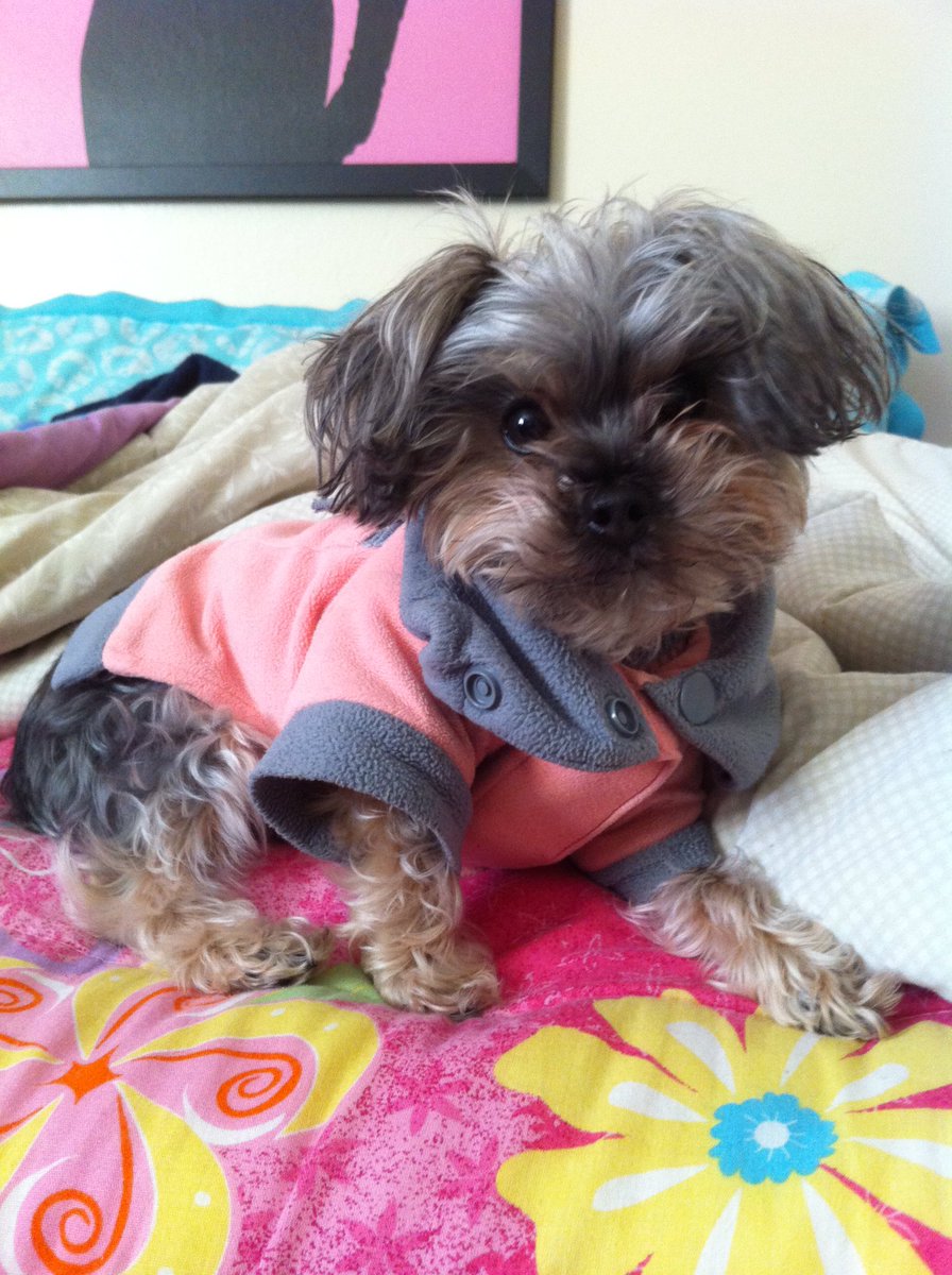 DivaGeorgia's tweet photo. #tbt to my bob days  #winterjacket #2010 https://t.co/TTIYA31krl